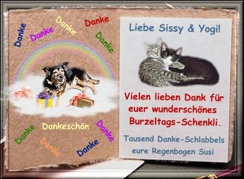 Regenbogen-Susi