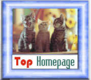Cats-Award
