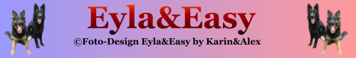 eyla easy giftworld