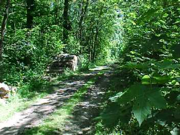 Waldweg